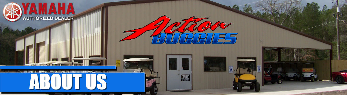 About our dealership at Action Buggies.